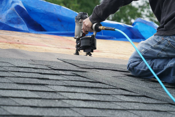 Best Metal Roofing Contractor  in Williamsburg, VA