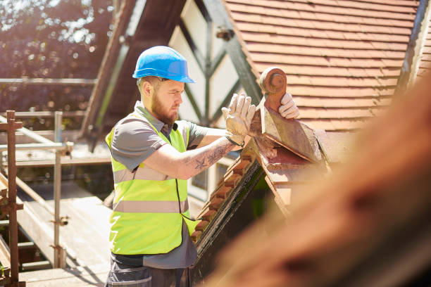 Best Flat Roof Repair Services  in Williamsburg, VA