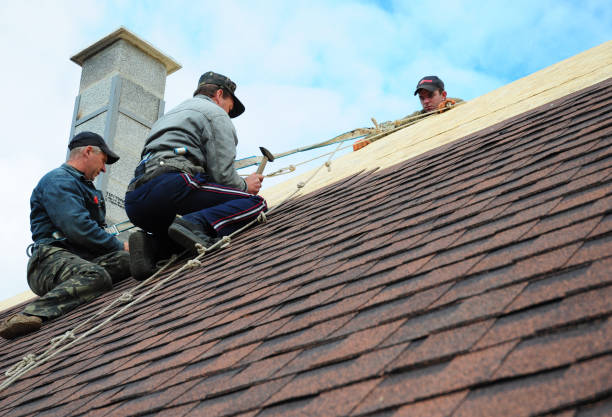 Best Storm Damage Roof Repair  in Williamsburg, VA